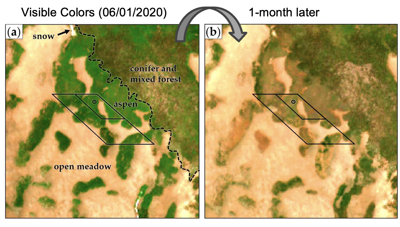 Climate Adaptation