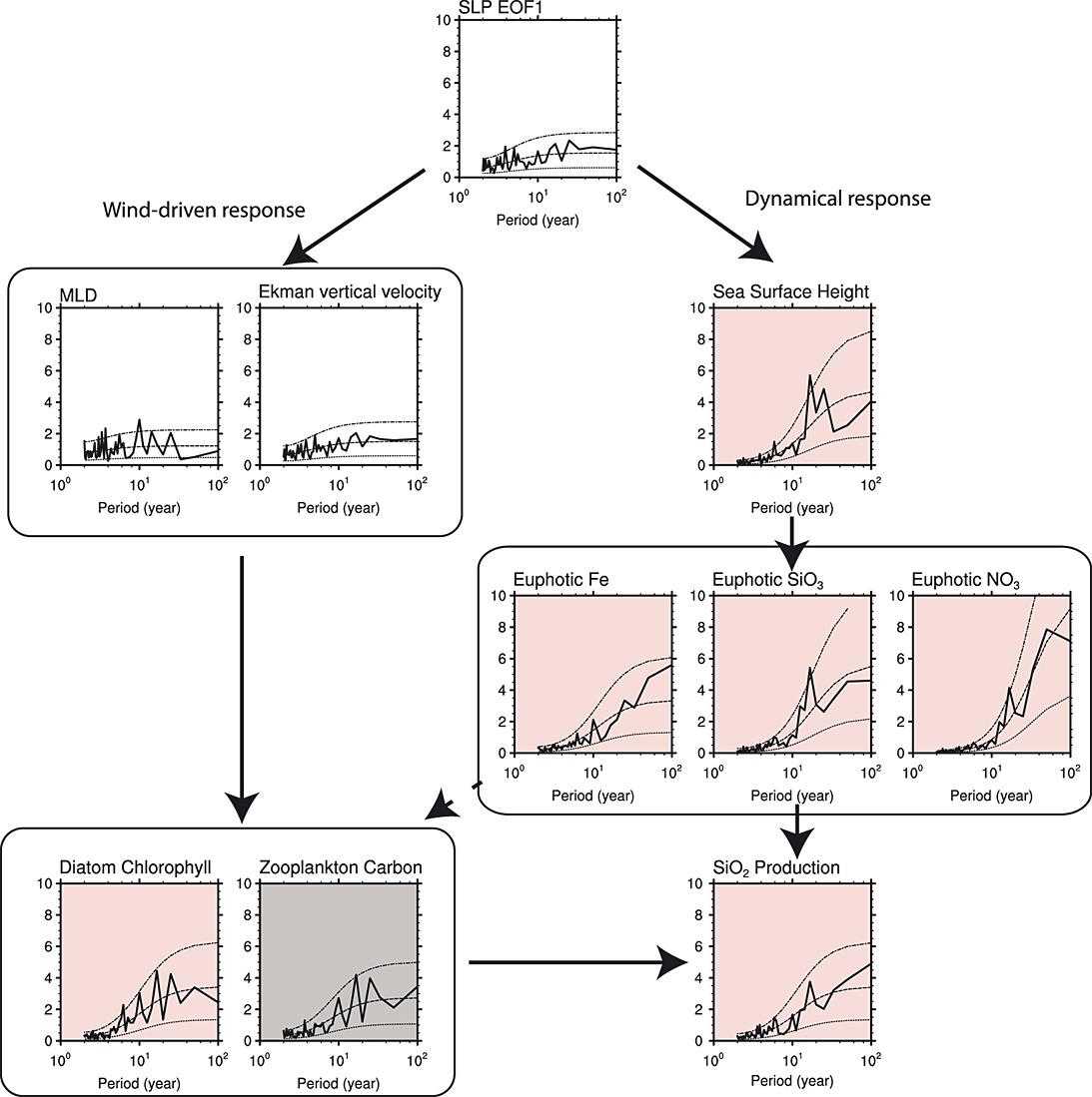 Marine Ecosystem